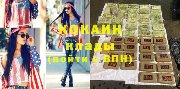 ПСИЛОЦИБИНОВЫЕ ГРИБЫ Арсеньев