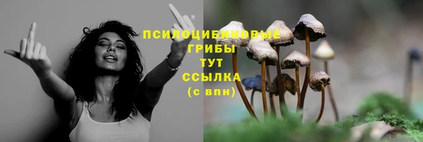 гашишное масло Аркадак